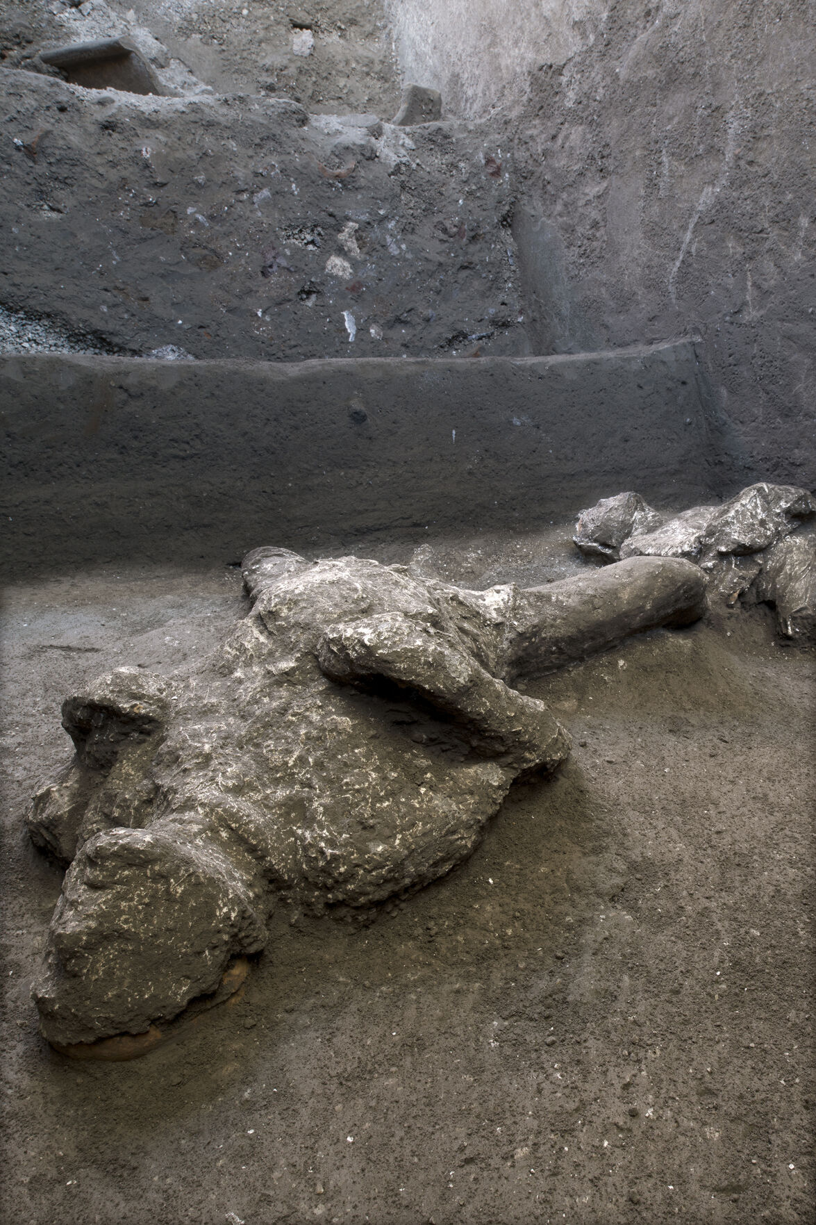 Italy Pompeii Ancient Bodies